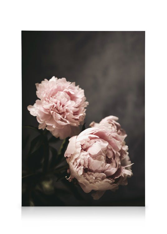 Canvas Prints There's Beauty Canvas print (50x70 cm - Black Frame)