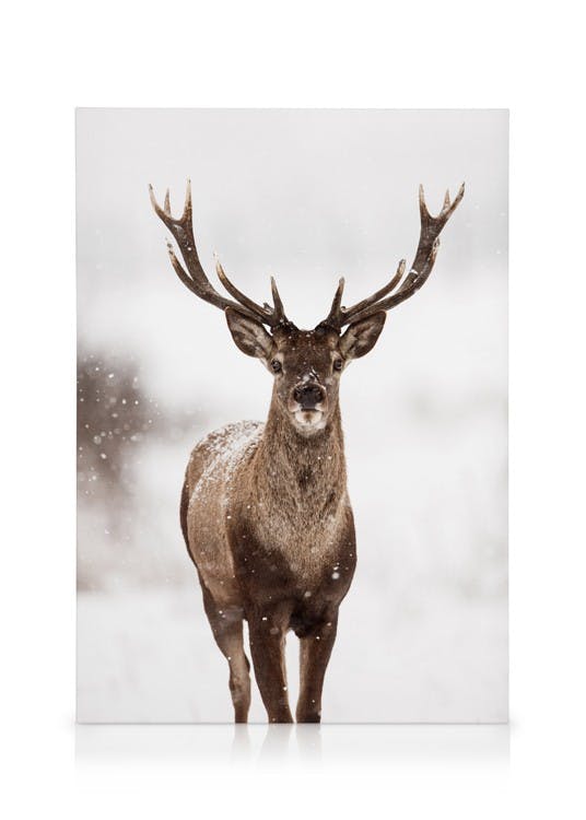 Canvas Prints Deer Winter Landscape Canvas print (30x40 cm - Black Frame)