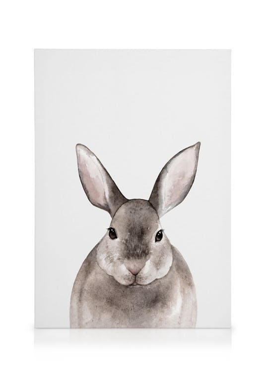 Canvastavlor Little Rabbit Canvastavla (50x70 cm)