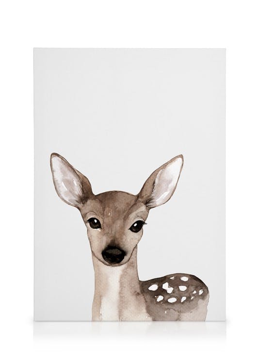 Canvas Prints Little Deer Canvas print (50x70 cm)