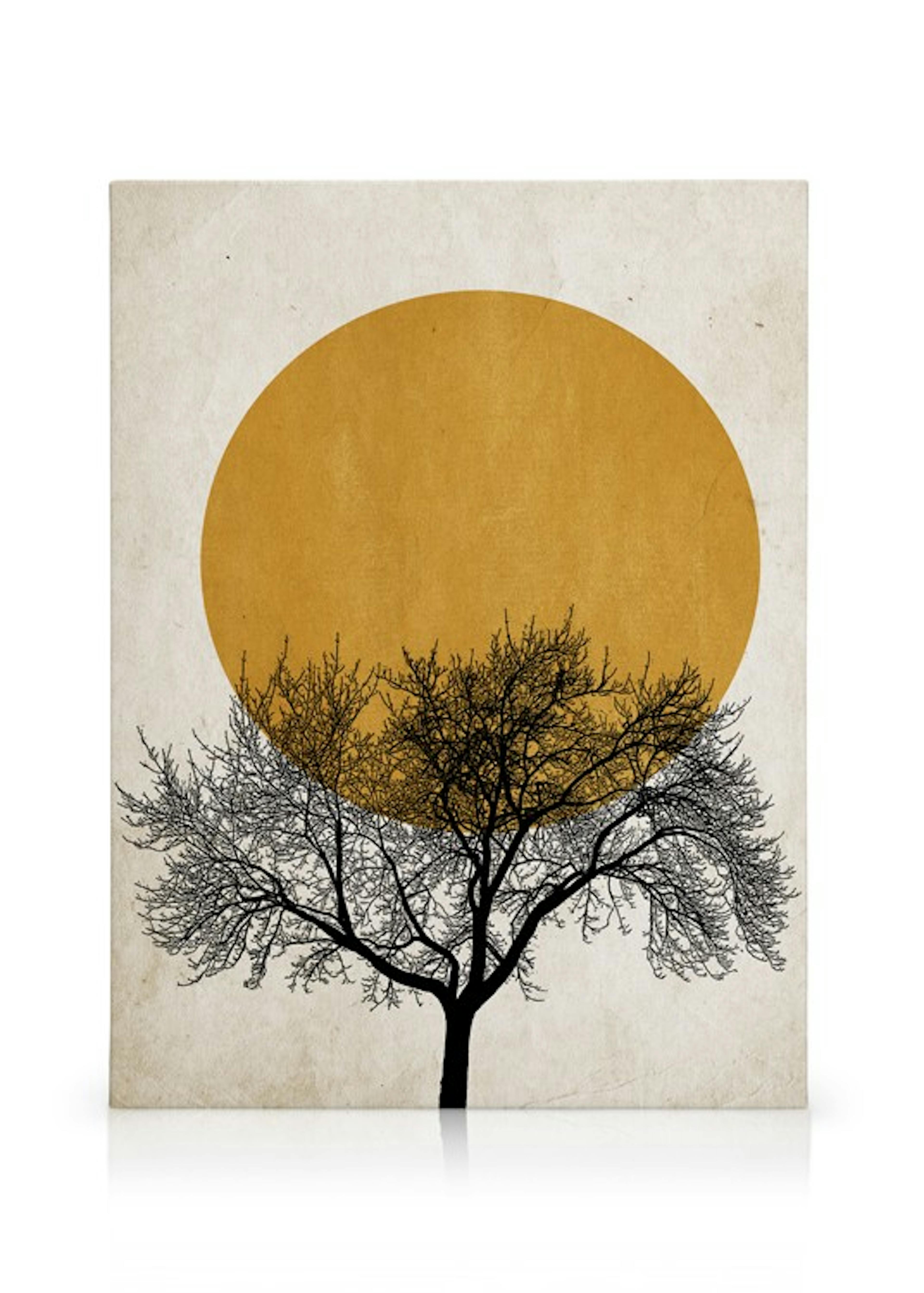 Product image: 1