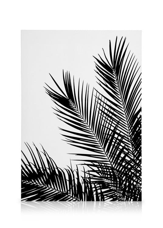 Canvas Prints Black Palm Tree One Canvas print (50x70 cm - Oak Frame)