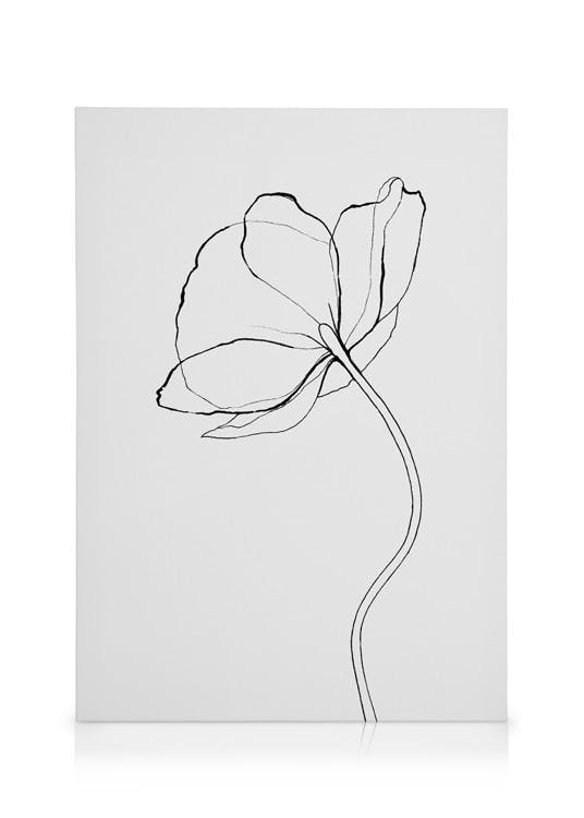 Canvas Prints Line Poppy Canvas print (30x40 cm - Black Frame)