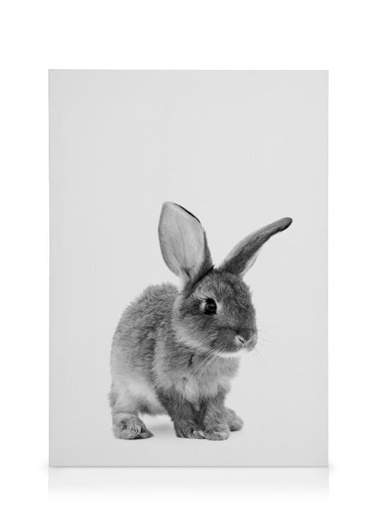 Canvas Prints The Little Bunny Canvas print (50x70 cm - Black Frame)