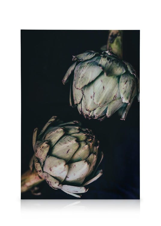 Canvas Schilderijen Artichokes Canvas (30x40 cm - Fotolijst Eiken)