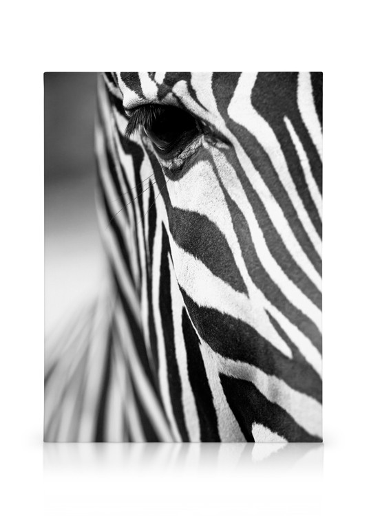 namens eten Abstractie Zebra Close Up Canvas