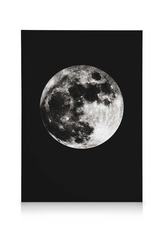 Moon In Black Canvas   Can3865 8 1 