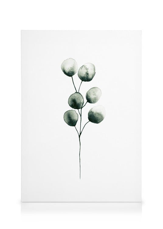 Canvas Prints Eucalyptus Plant Canvas print (30x40 cm - Black Frame)
