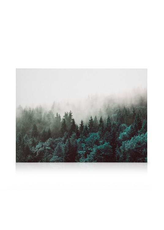 Leinwandbilder Green Forest Leinwandbild (30x40 cm)