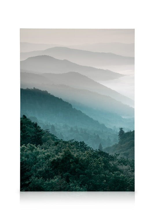 Canvas Prints Forest Mountain Canvas (50x70 cm)