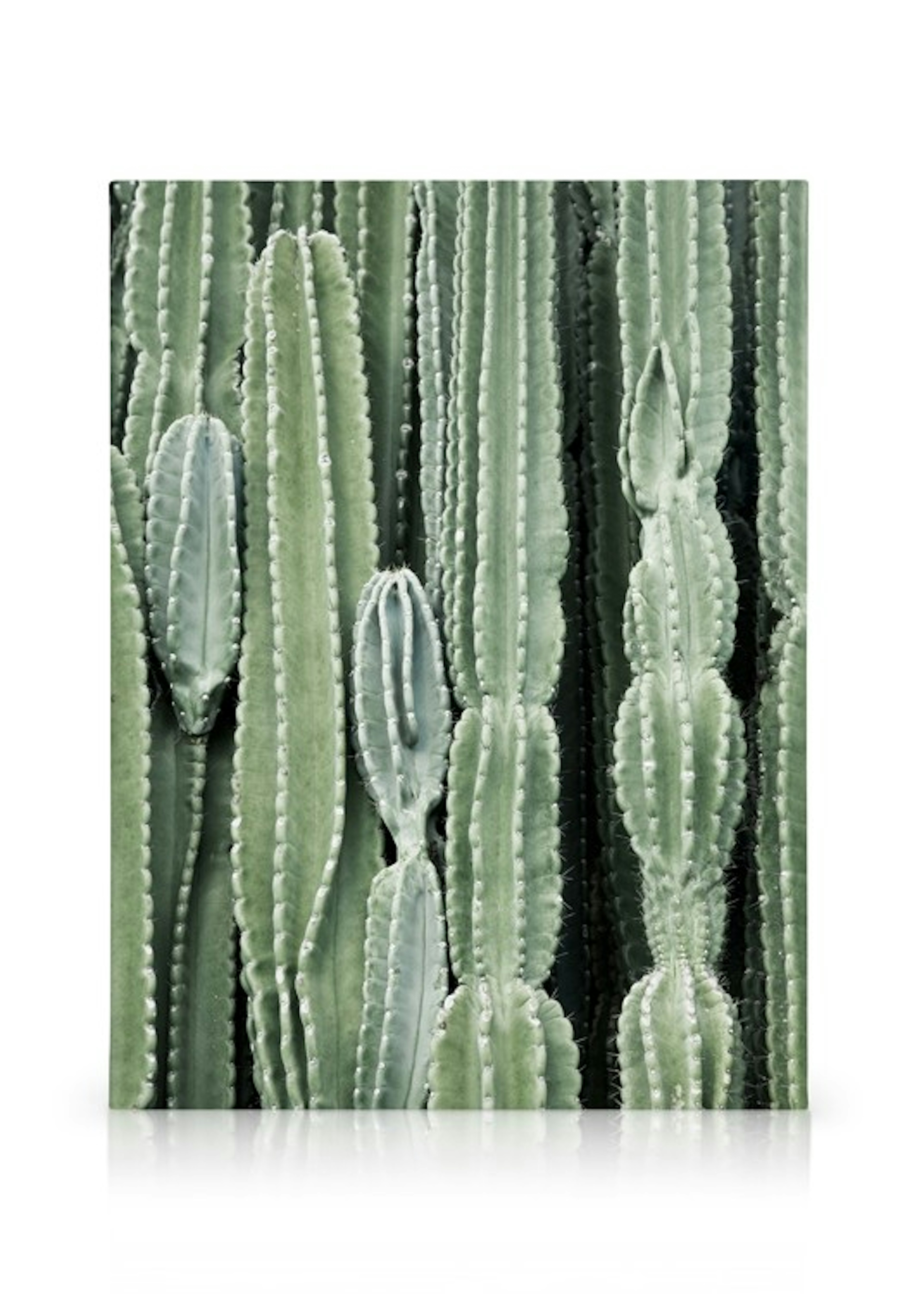 Product image: 1