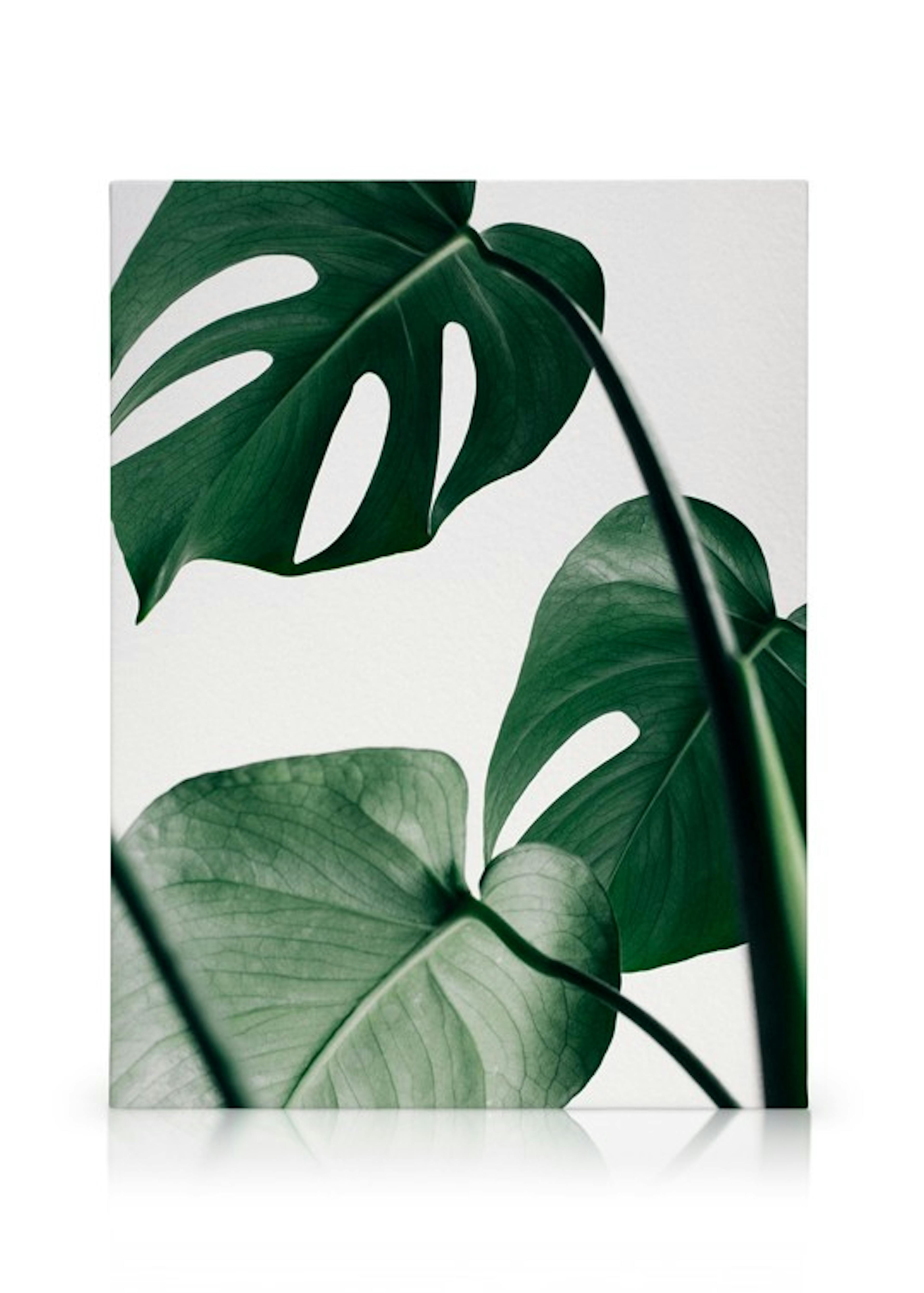 Product image: 1