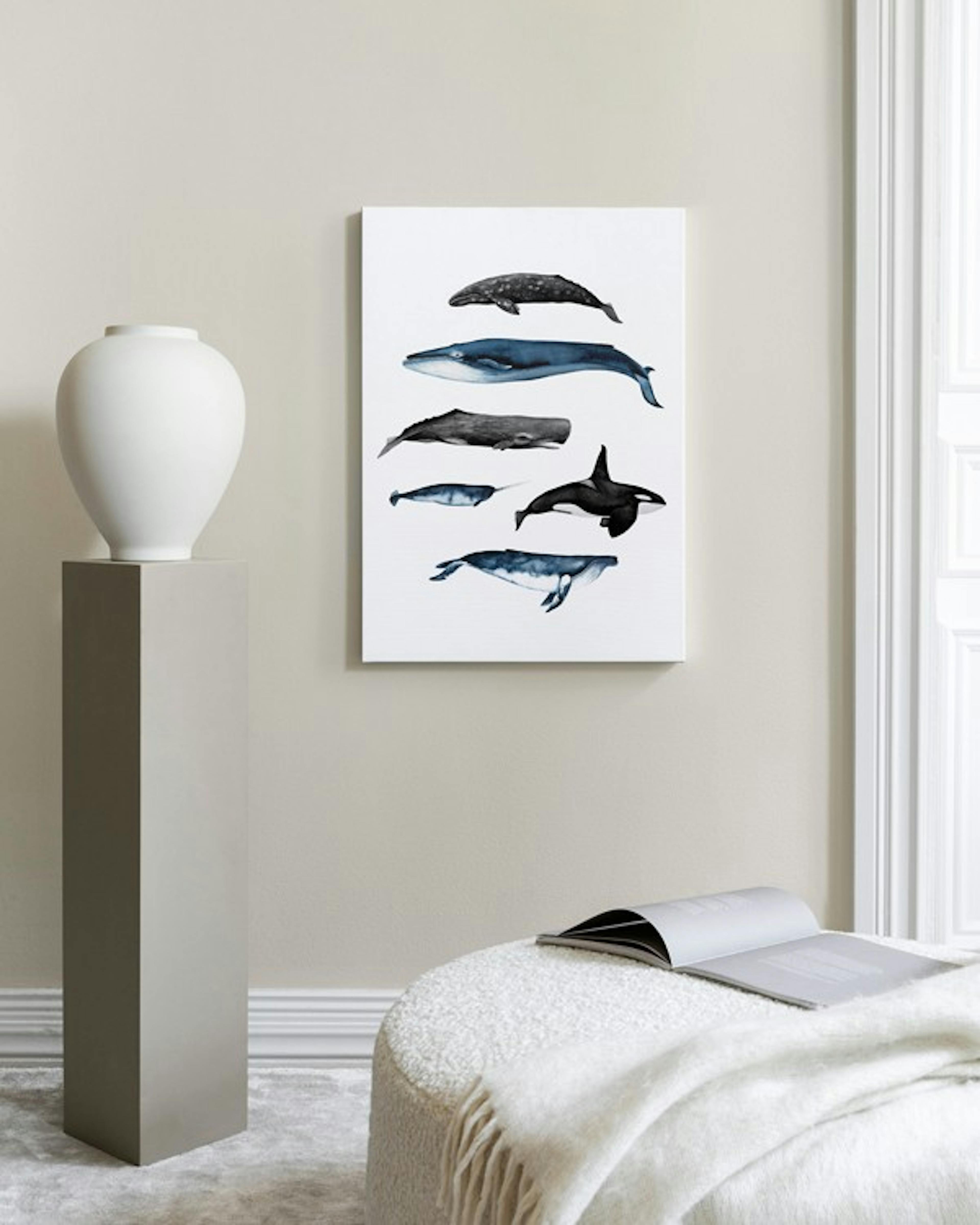 Product image: 2