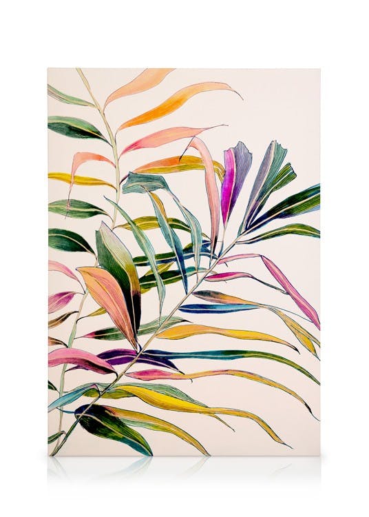 Obrazy na płótnie Leigh Viner - Palm in Color Obraz na płótnie (50x70 cm - Czarna ramka)