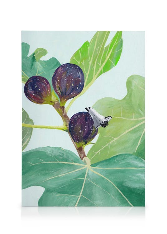 Jaron Su - Fig Galaxy Toile (50x70 cm) - Plantes vertes