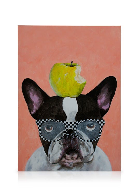 Canvas Prints Coco De Paris - French Bulldog with Apple Canvas print (50x70 cm)