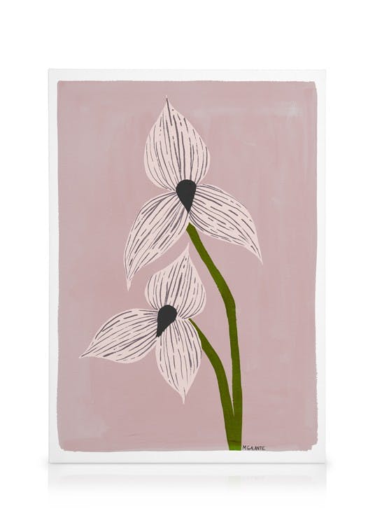 Canvas Schilderijen Megan Galante - Orchid Portrait Canvas (50x70 cm)