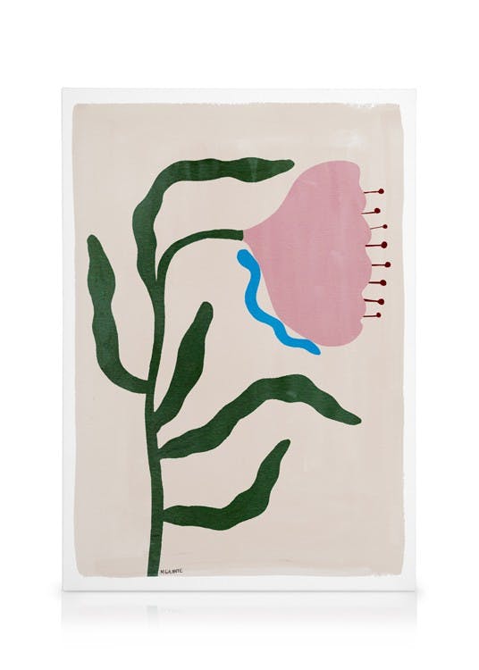 Obrazy na płótnie Megan Galante - Morning Floral Obraz na płótnie (50x70 cm)