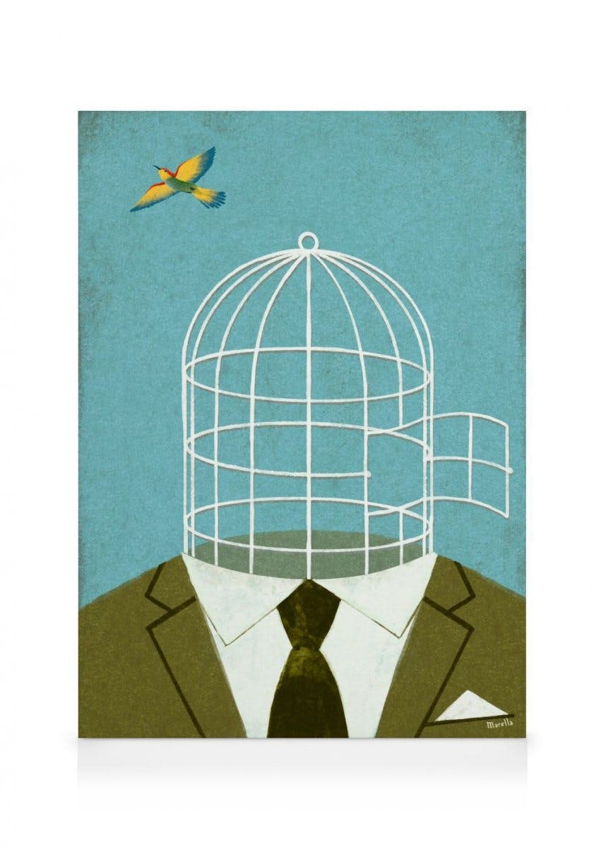 Canvas Schilderijen Marco Marella - Fly Free Canvas (70x100 cm)
