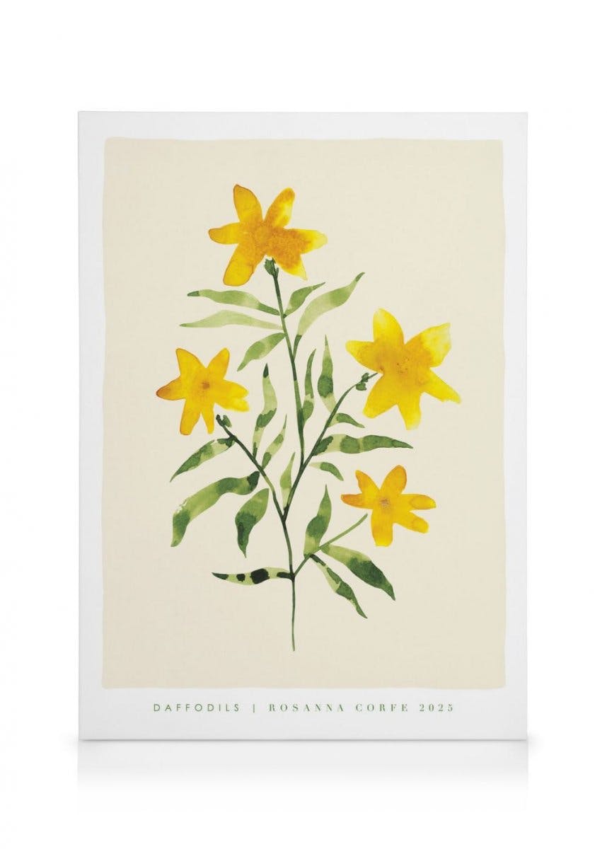 Canvastavlor Rosanna Corfe - Daffodils Canvastavla (100x140 cm)