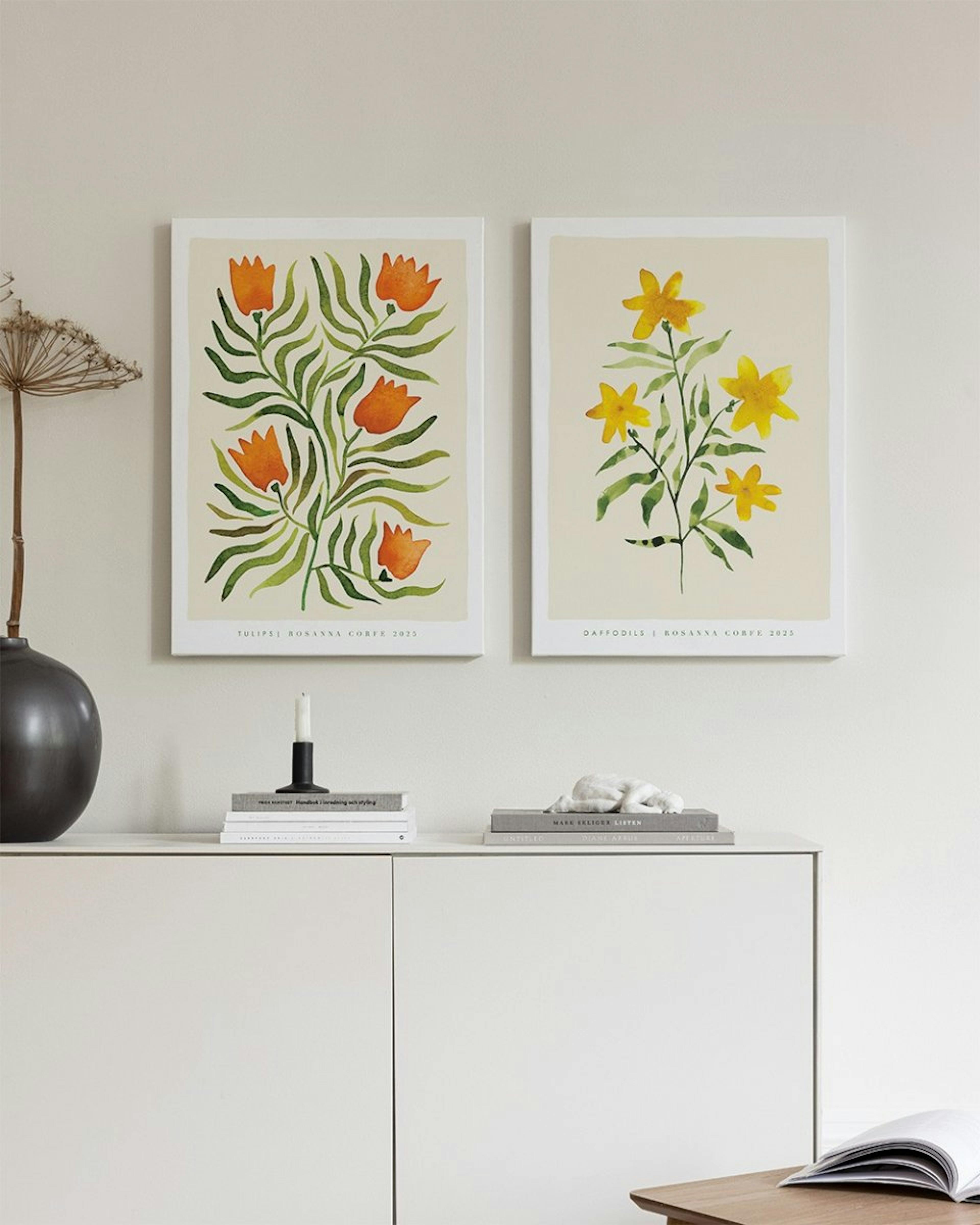 Rosanna Corfe - Daffodils Lienzo