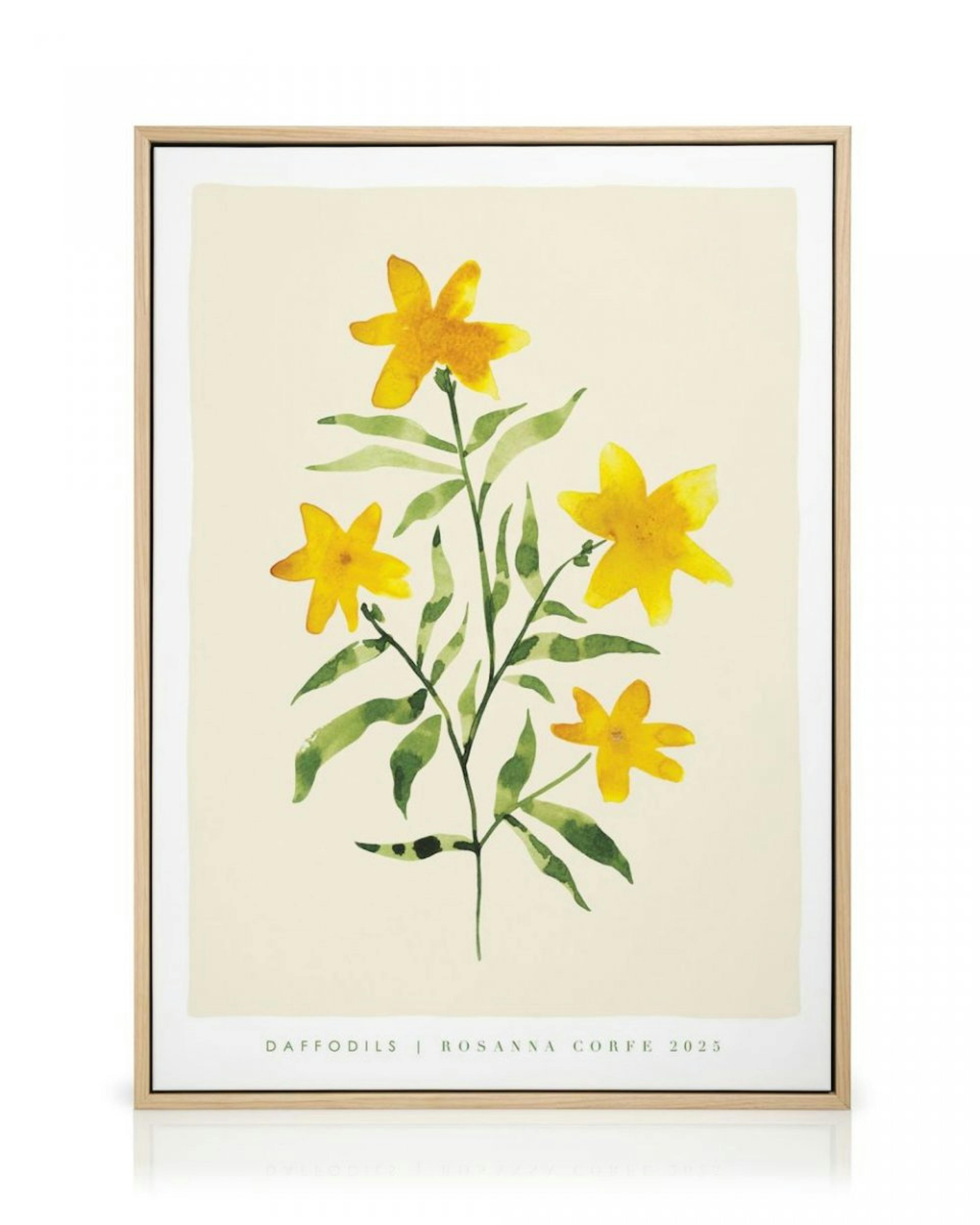 Rosanna Corfe - Daffodils Lienzo