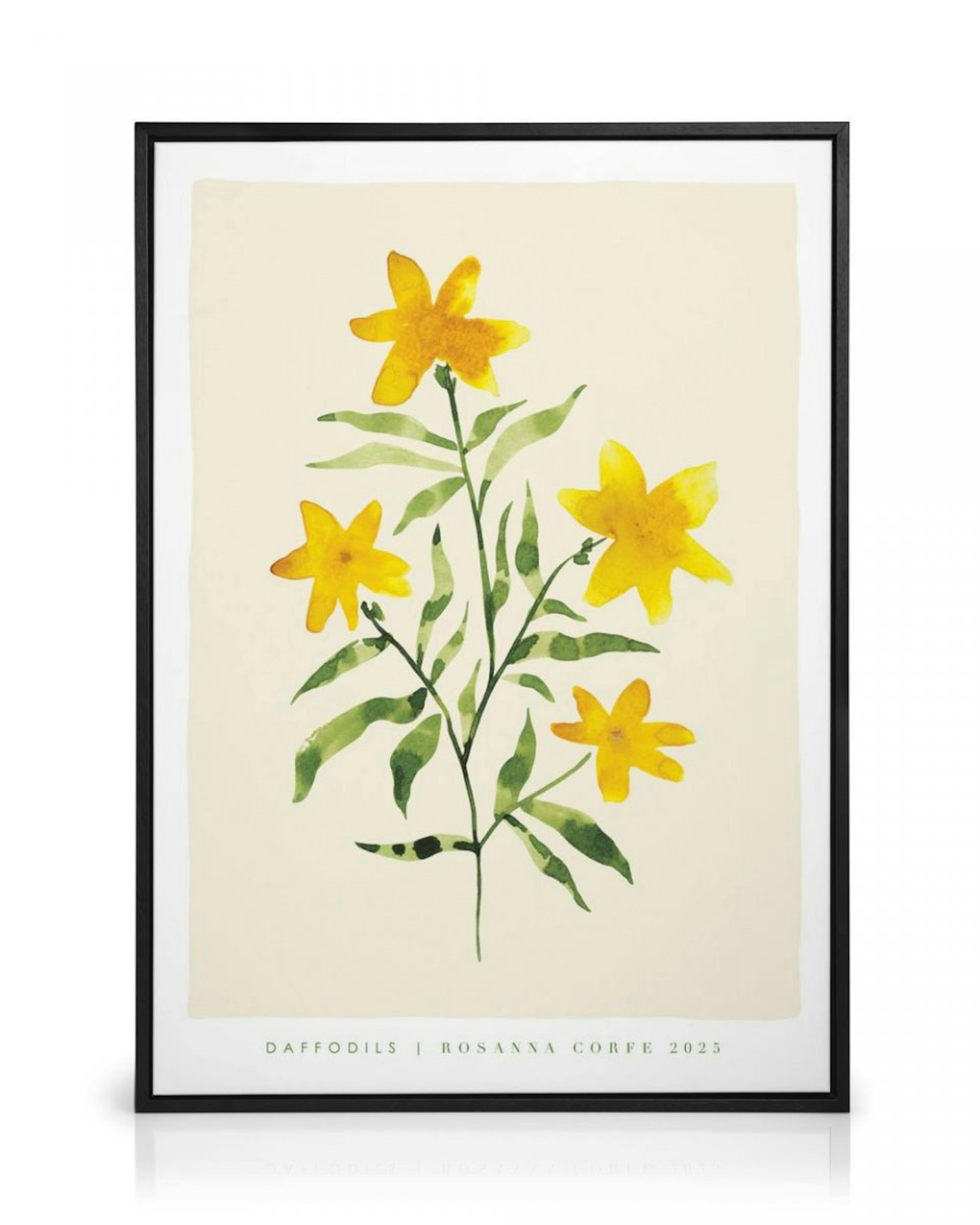 Rosanna Corfe - Daffodils Lienzo
