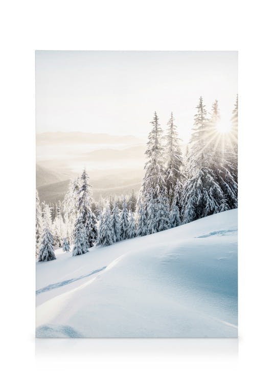 Canvas Prints Winter Sunrise Canvas print (50x70 cm)