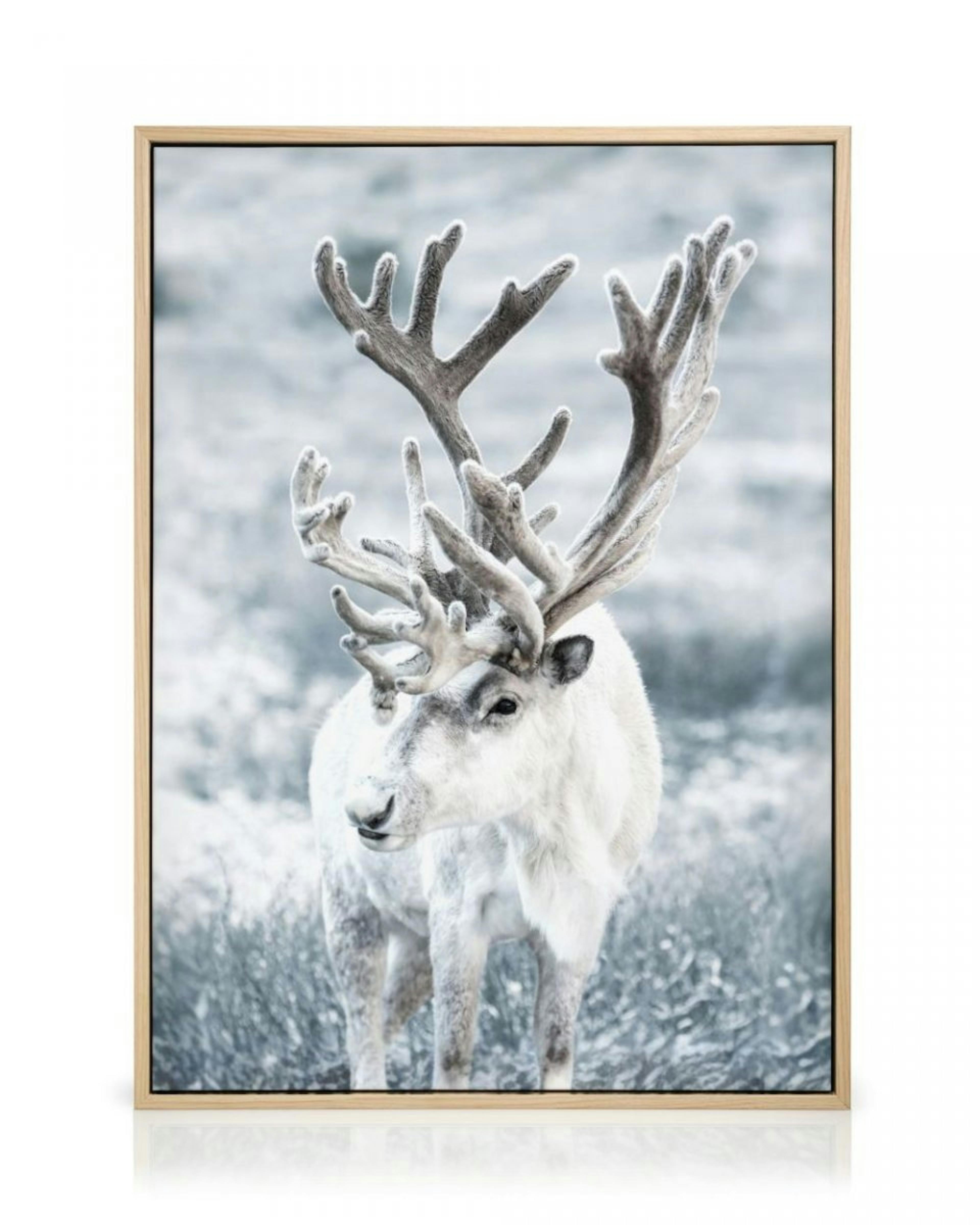 Winter Reindeer Canvas print