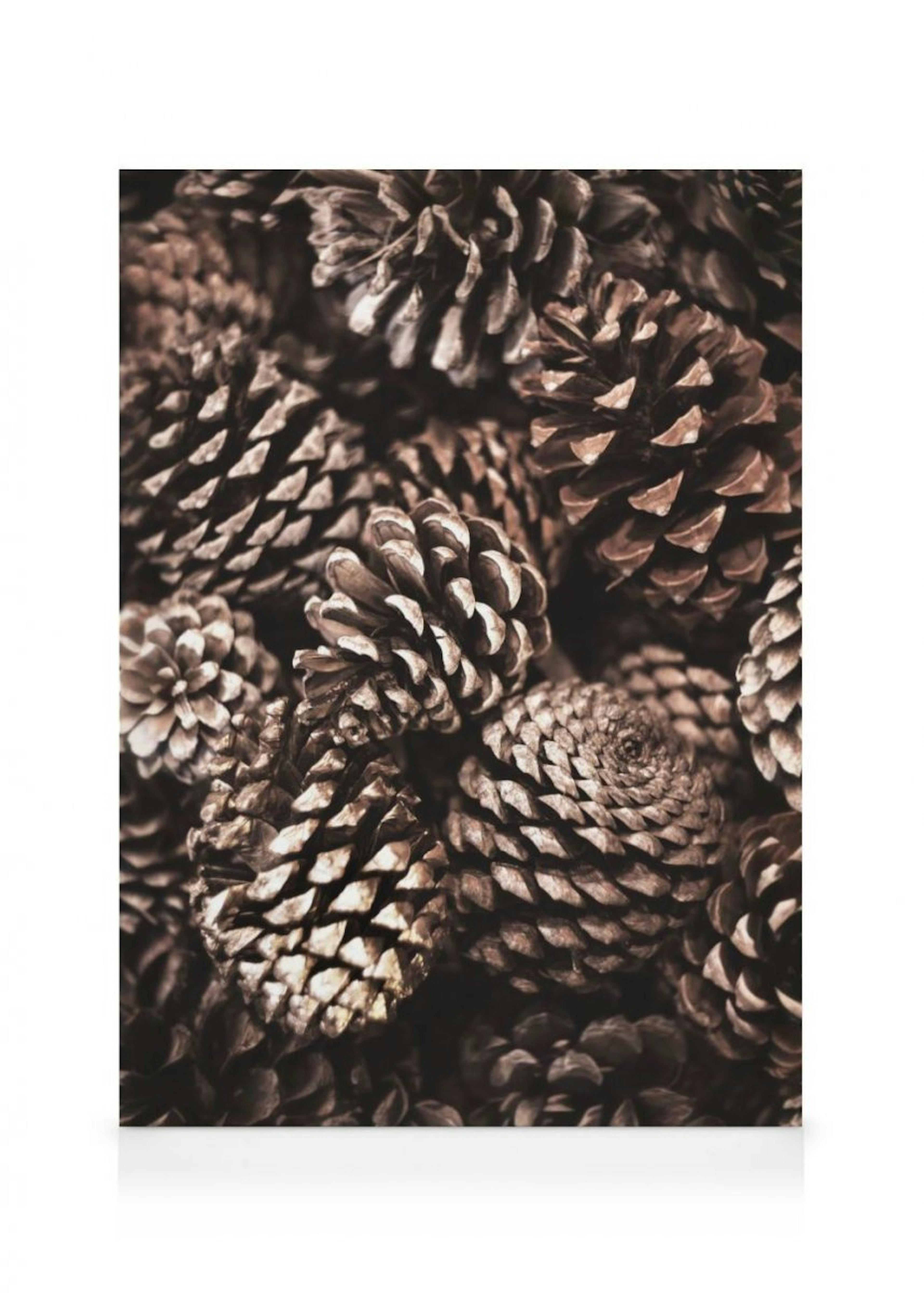 Pine Cones Leinwandbild