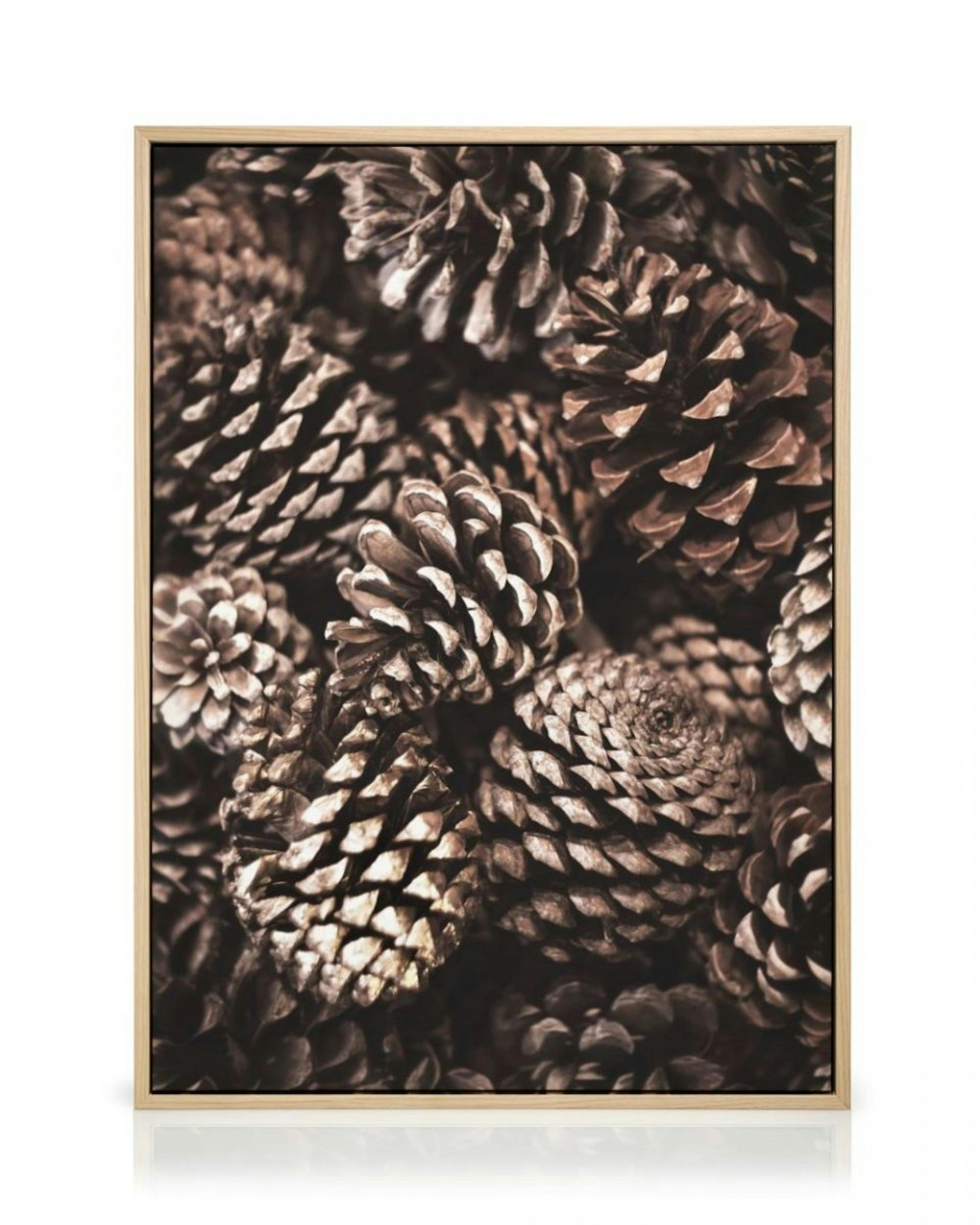 Pine Cones Leinwandbild