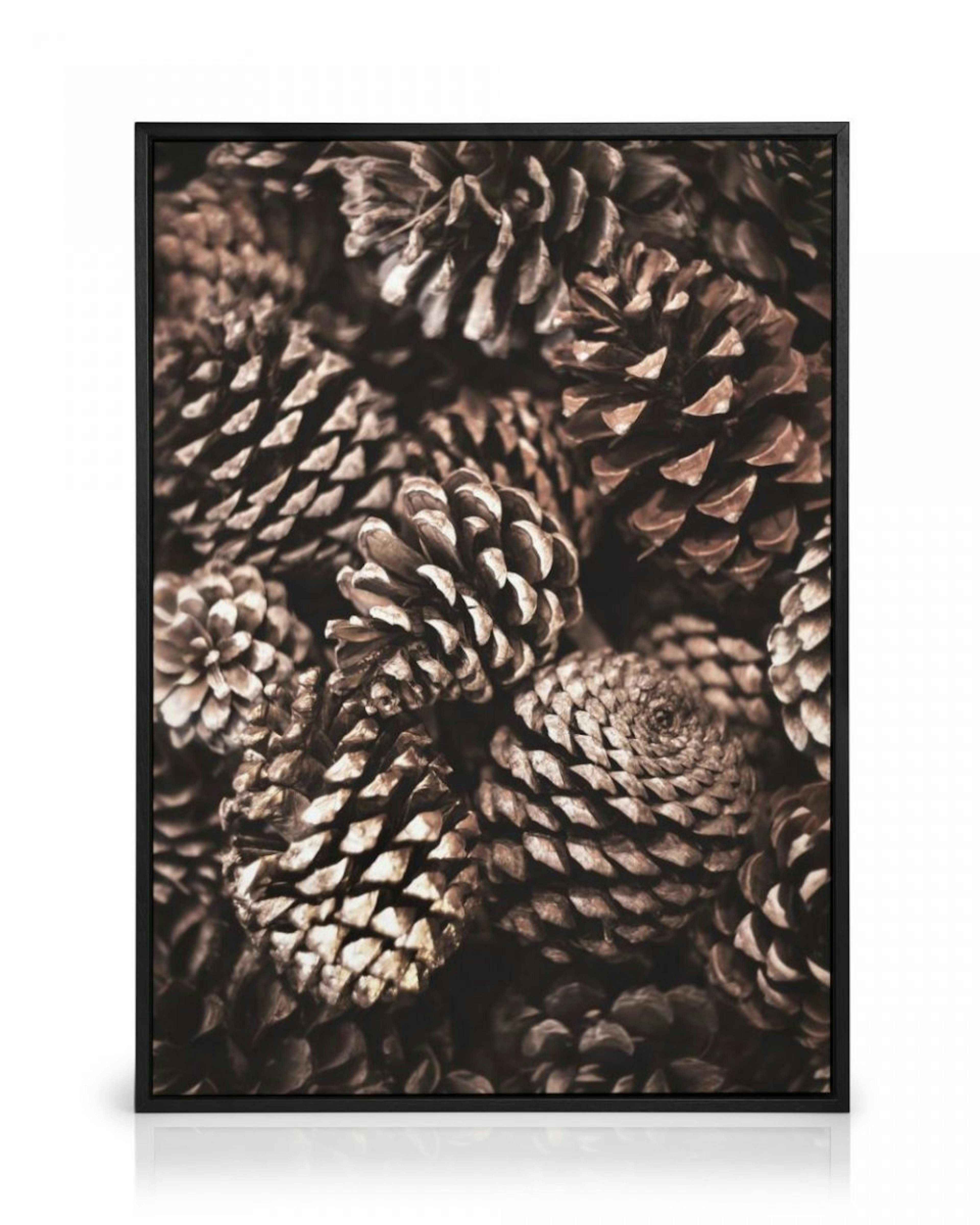 Pine Cones Leinwandbild