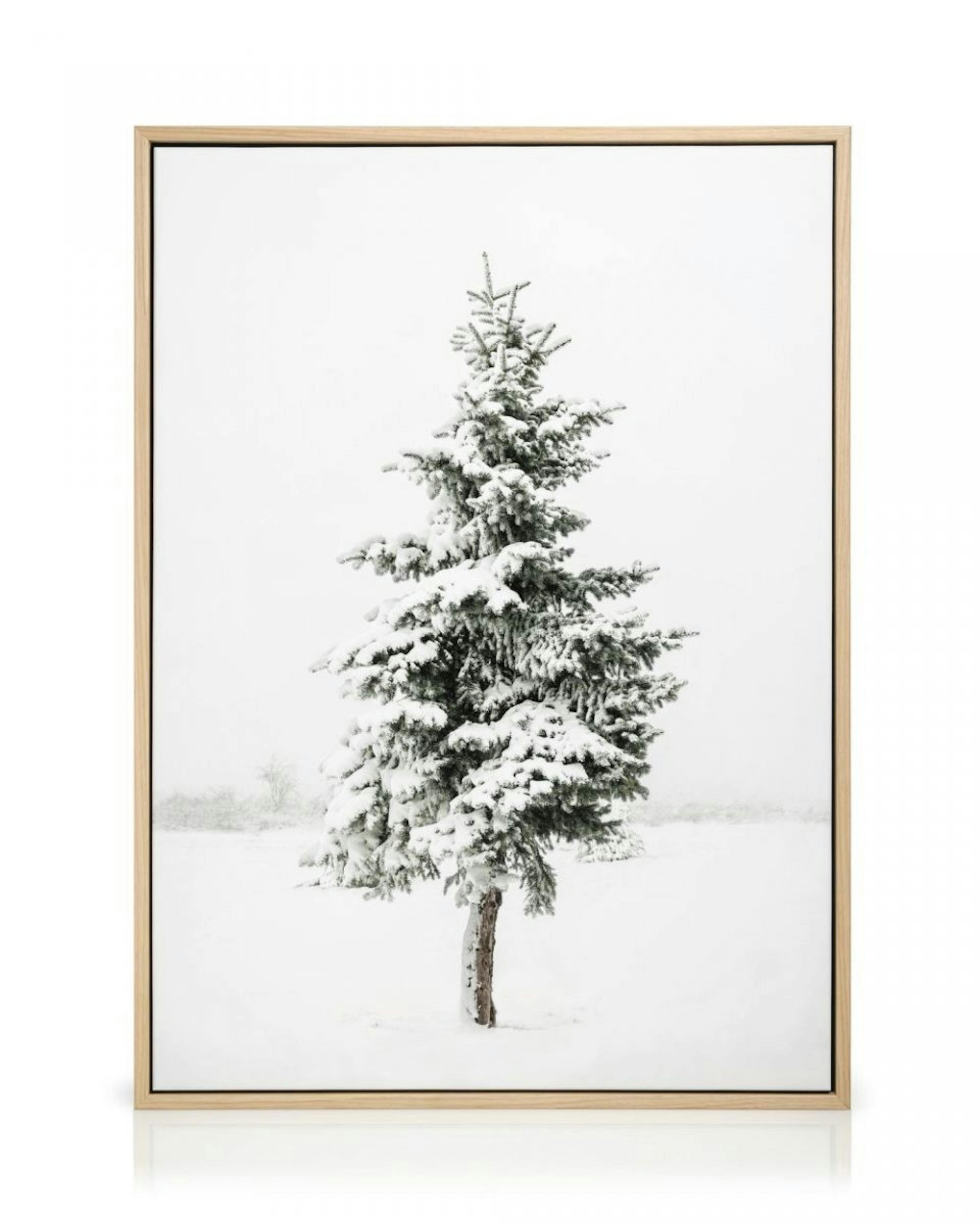 Snowy Spruce Leinwand