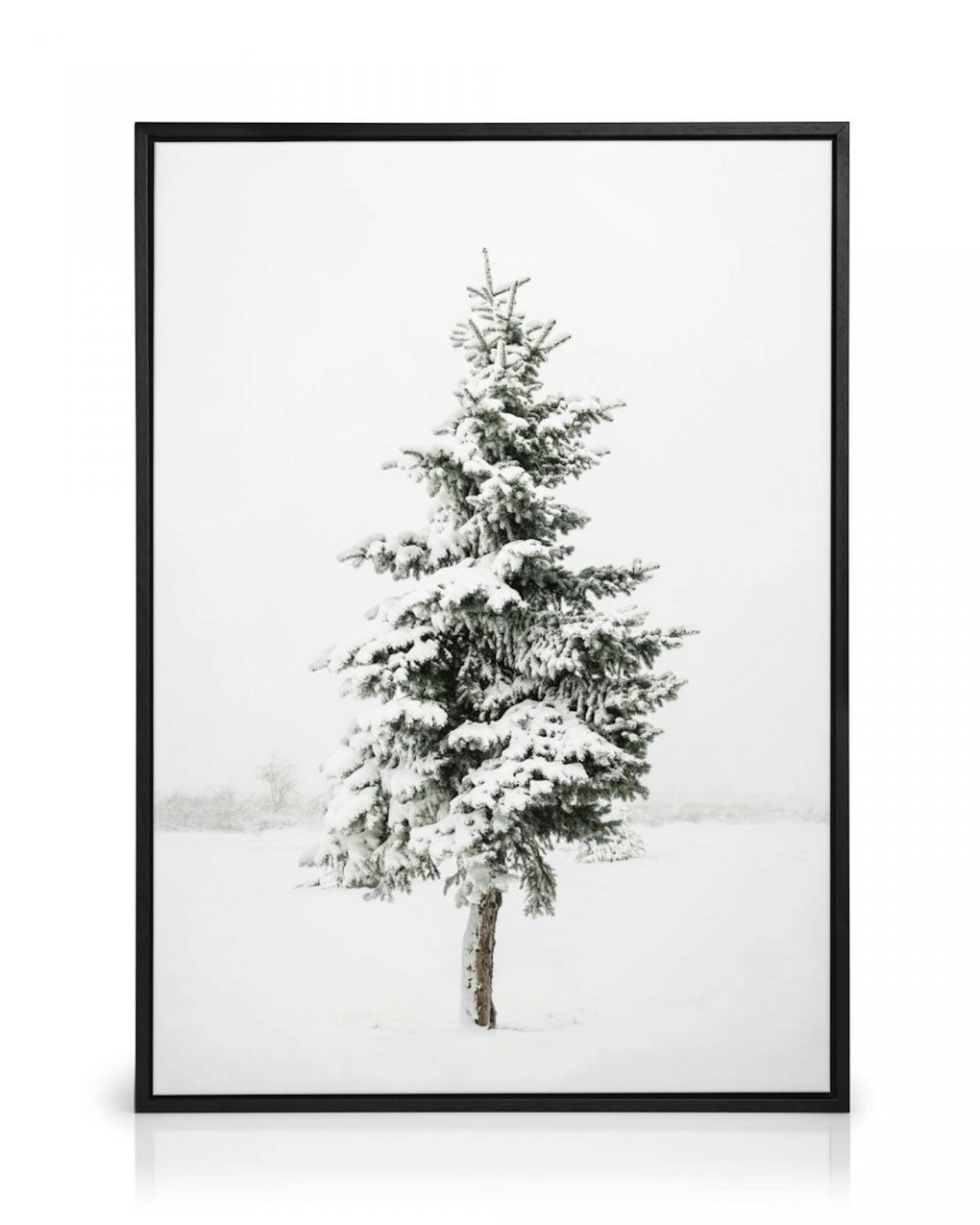 Snowy Spruce Leinwand