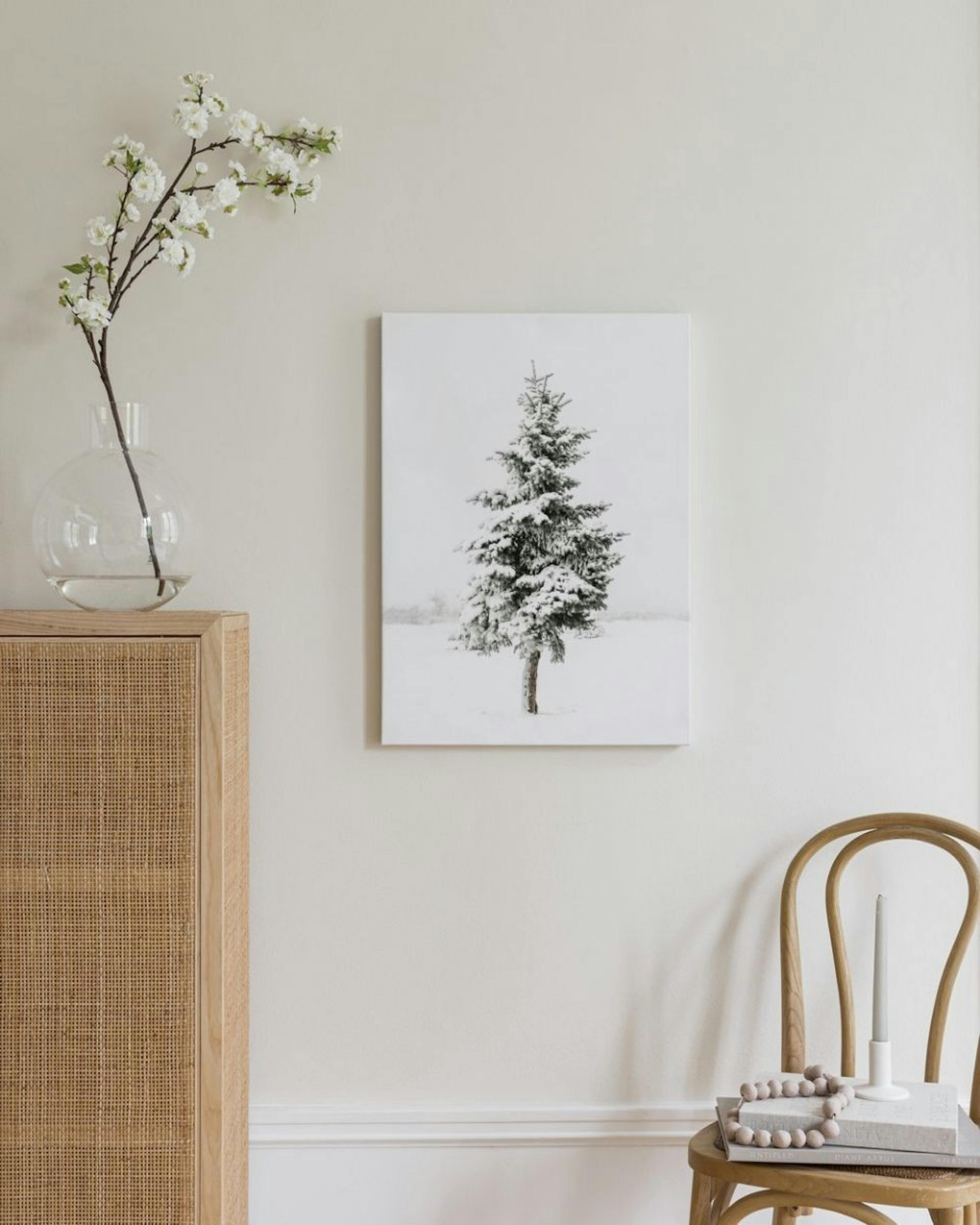 Snowy Spruce Canvas