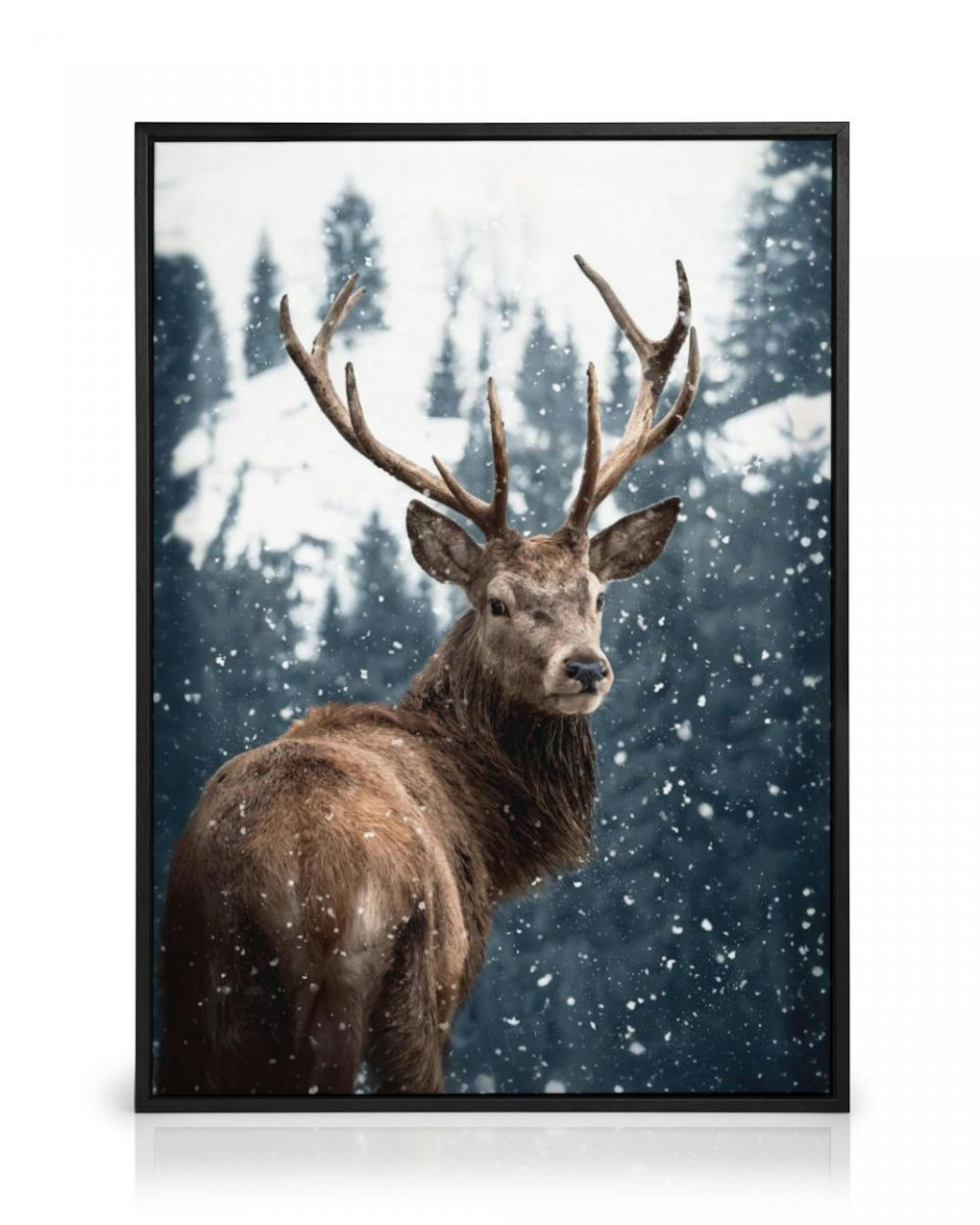 Red Deer in Snow Canvas print