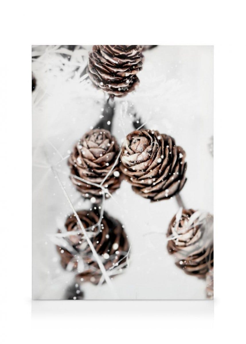 Obrazy na płótnie Winter Cones Obraz na płótnie (30x40 cm - Ramka dębowa)