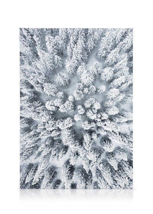 Canvas Prints Snowy Trees Canvas print (30x40 cm - Black Frame)