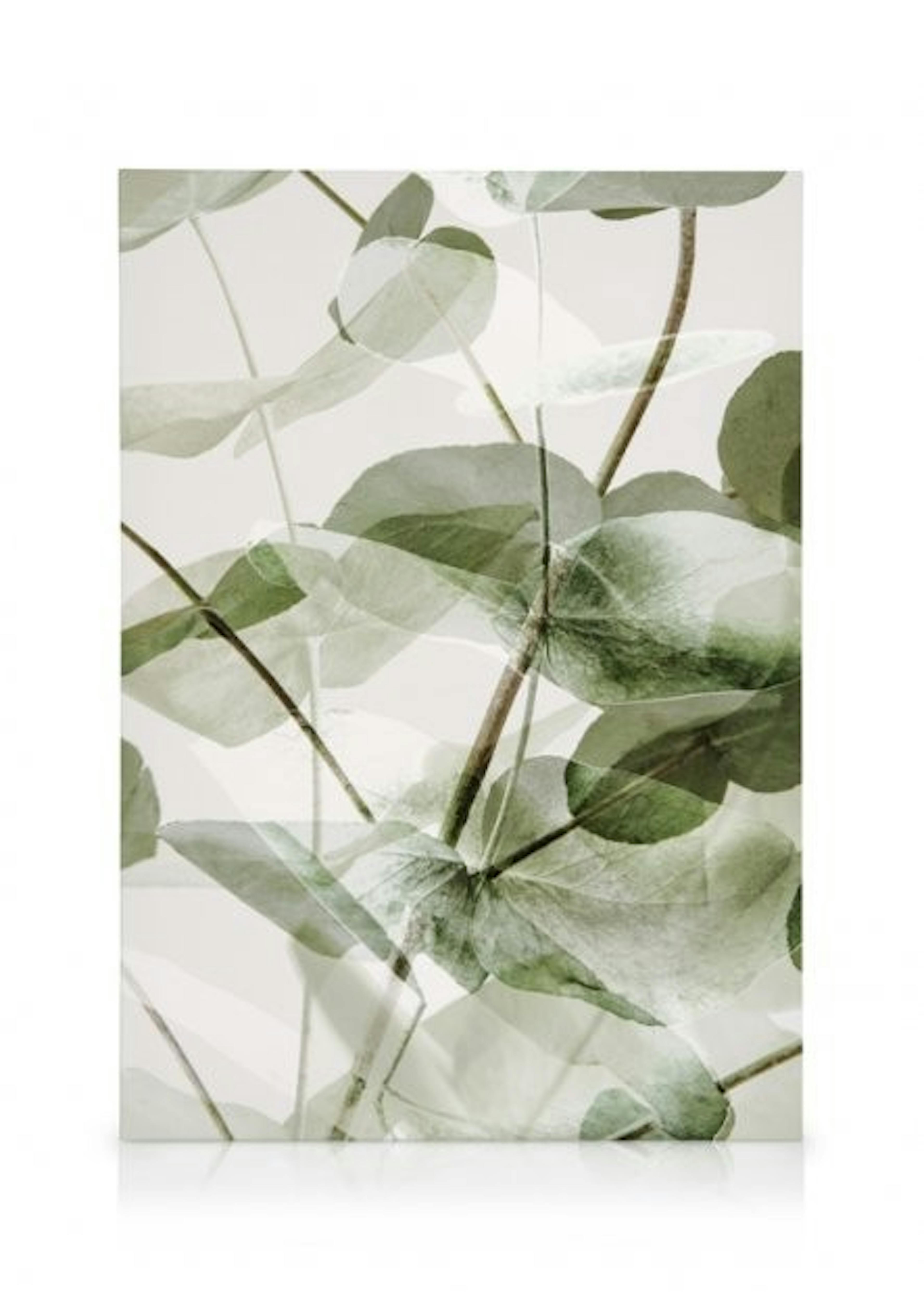 Eucalyptus Shades Dúo de lienzos