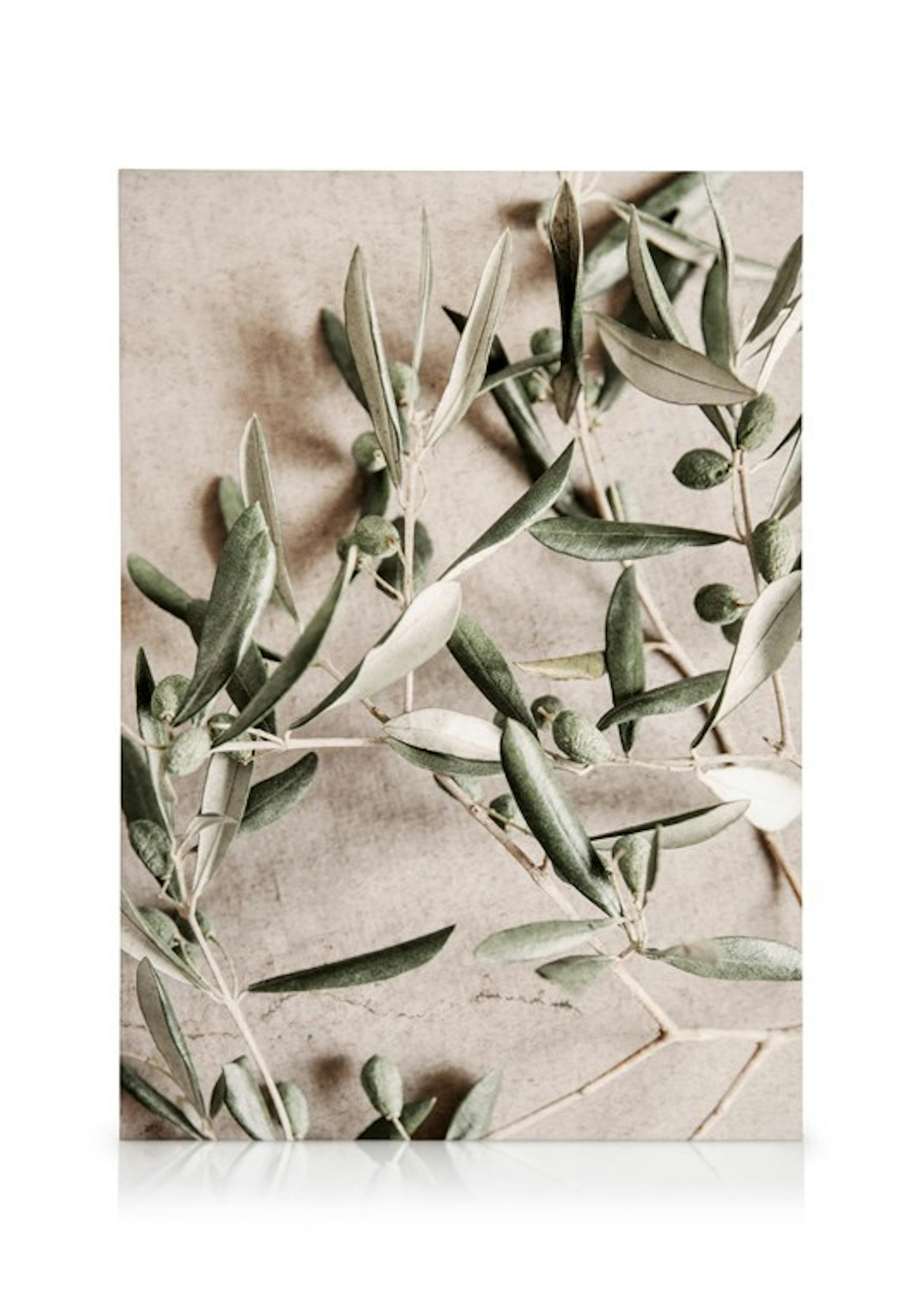 Sunlit Olive Canvas Duo
