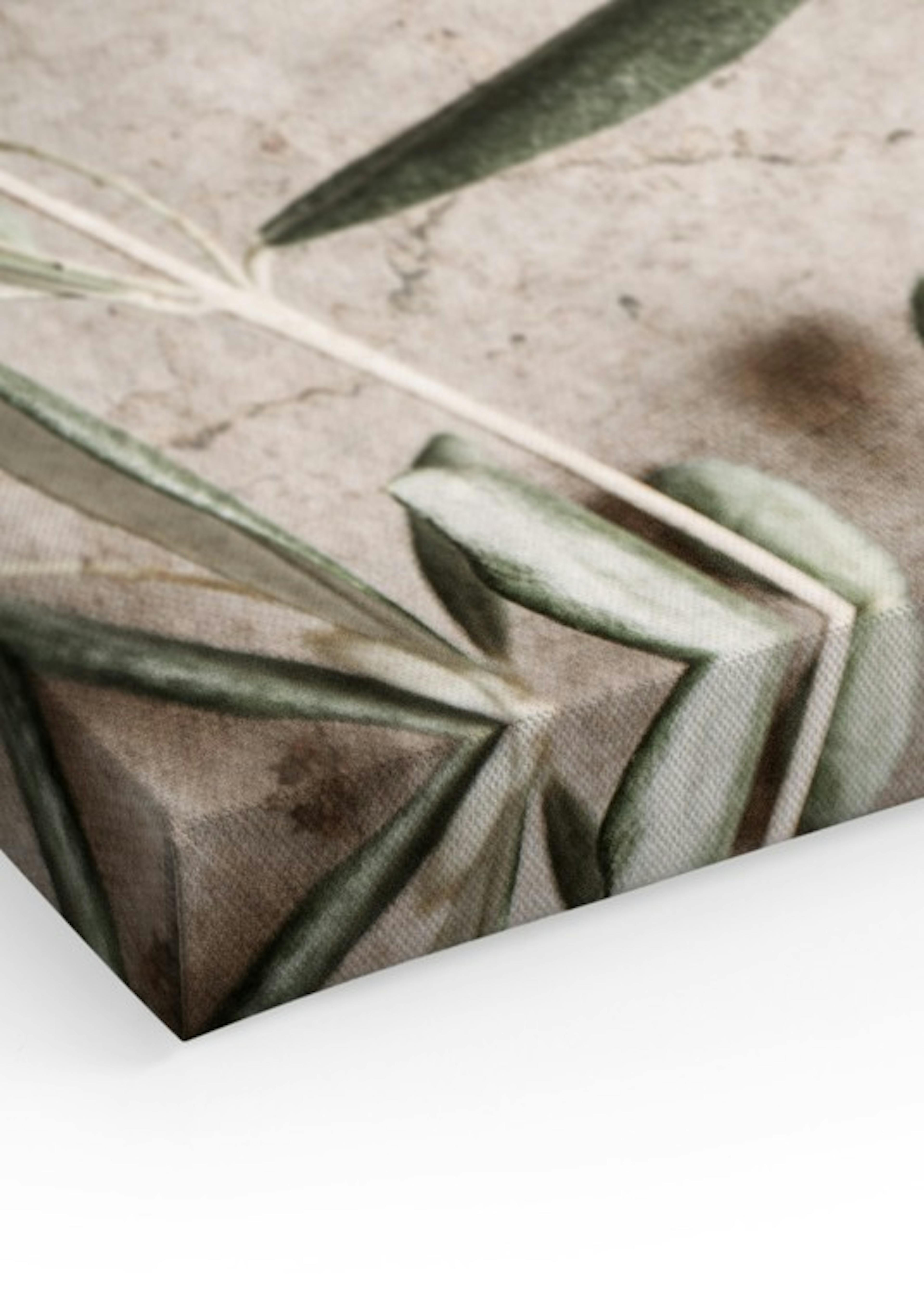 Sunlit Olive Canvas Duo