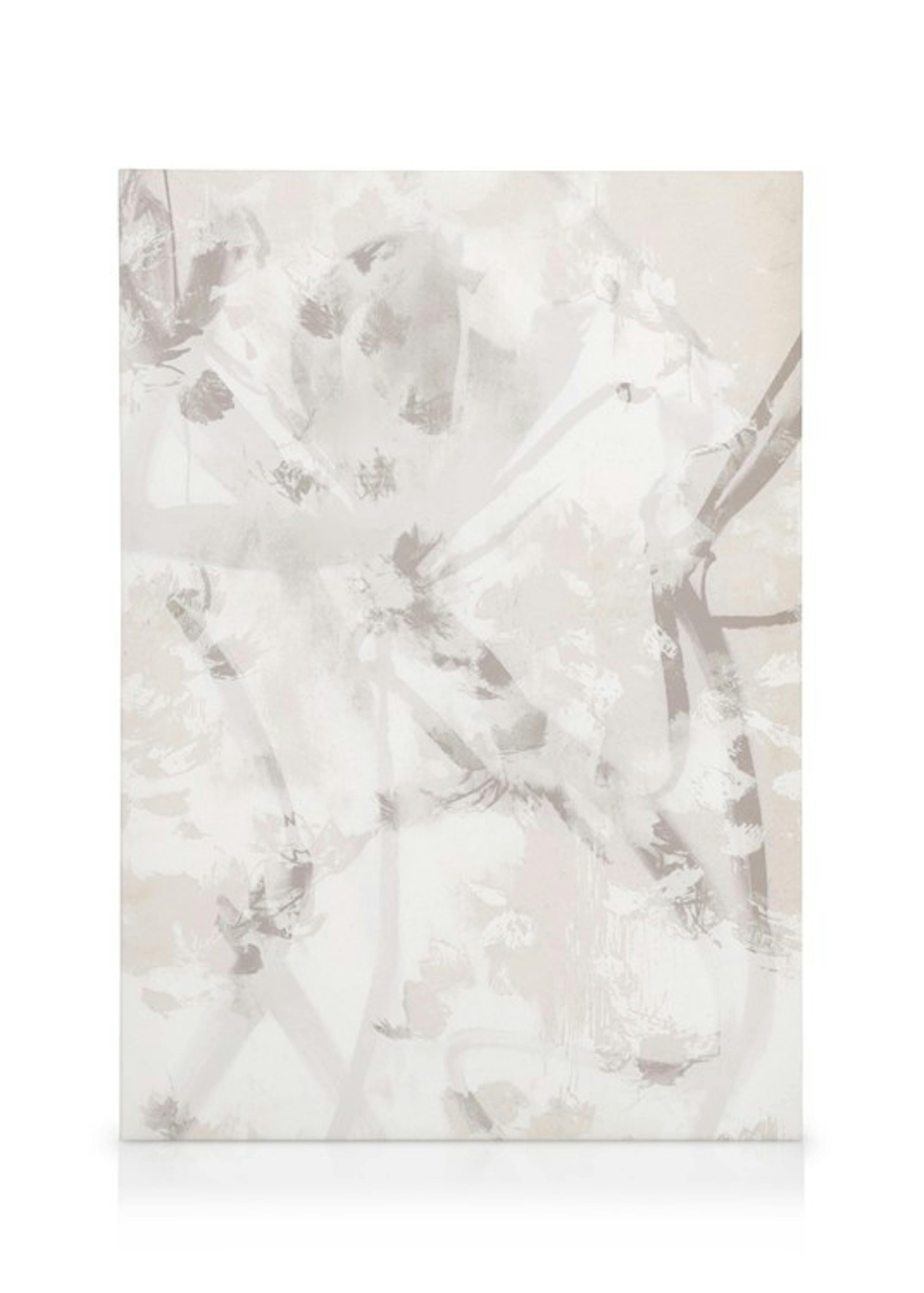 Soft Abstract Canvas Duo
