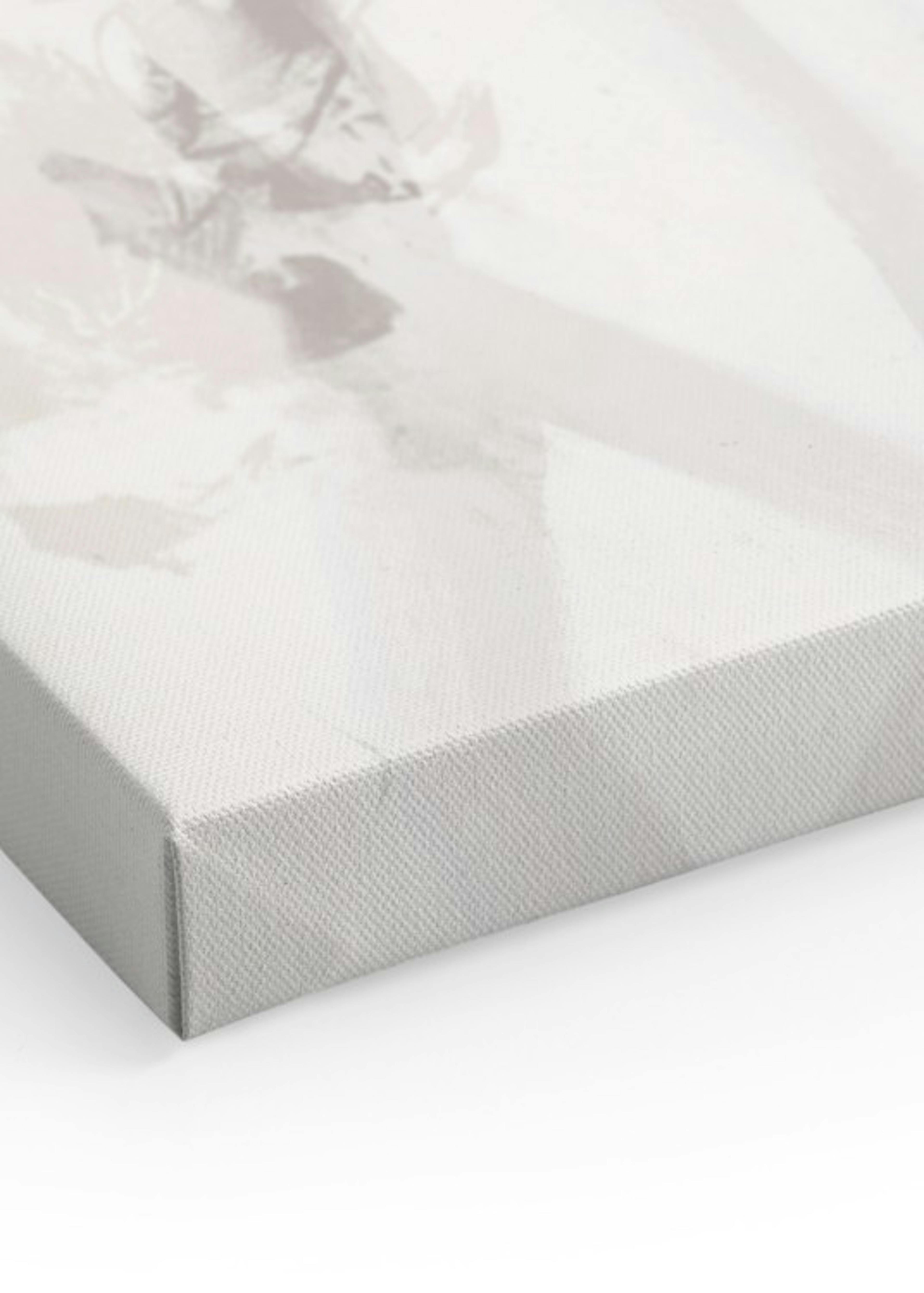 Soft Abstract Canvas Duo
