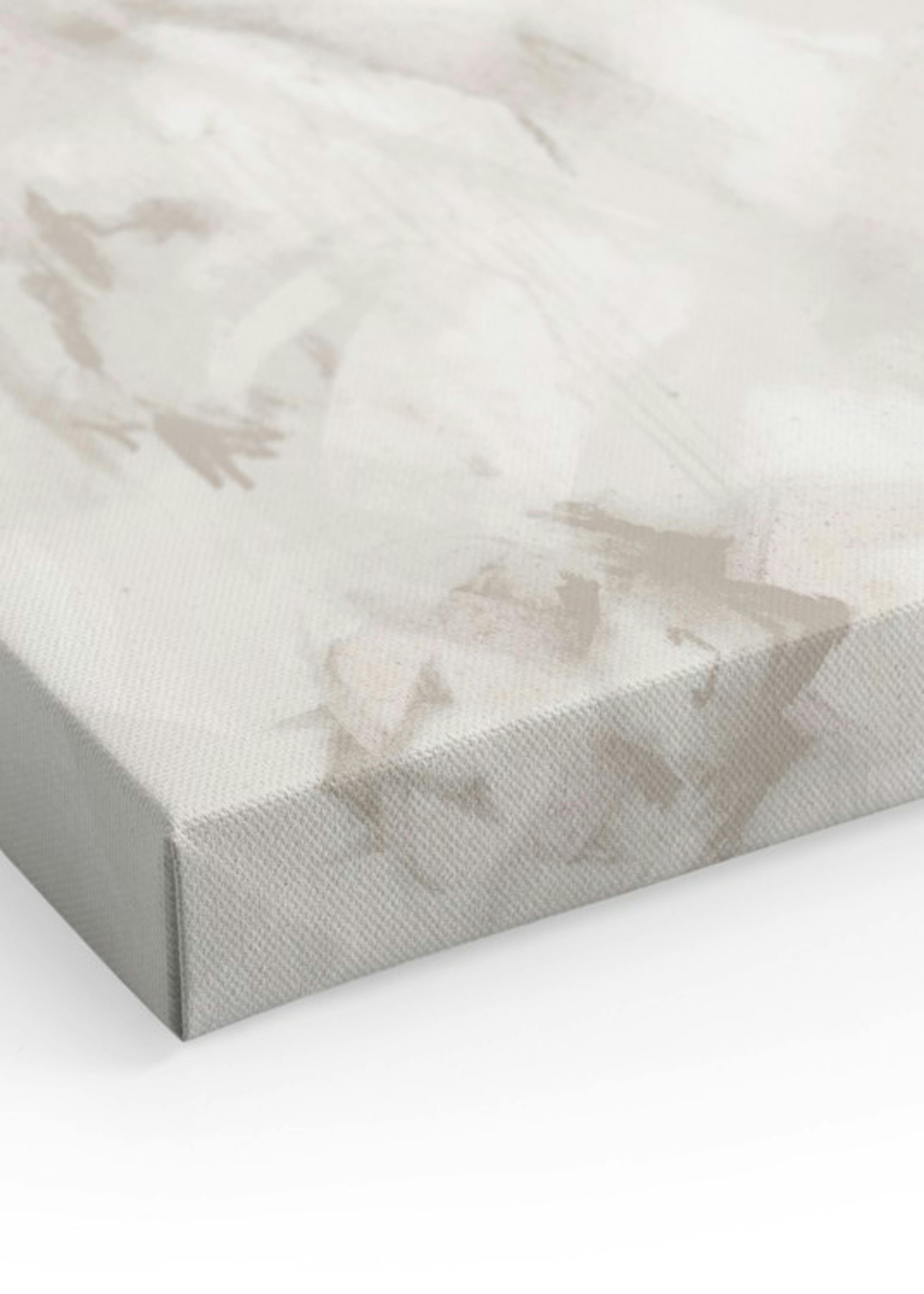 Soft Abstract Canvas Duo