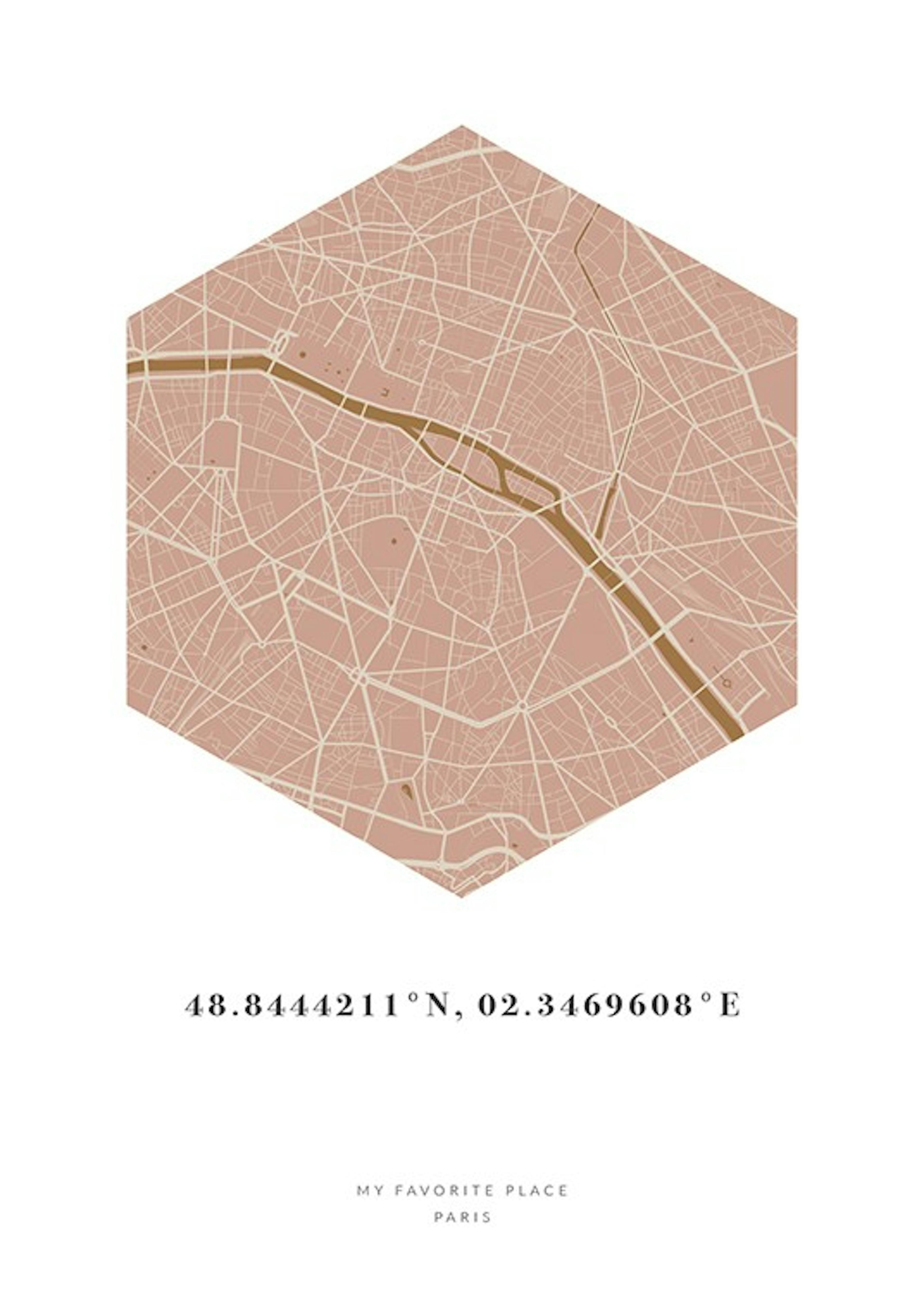 Hexagon Map Pink Mustard Personal Poster 0
