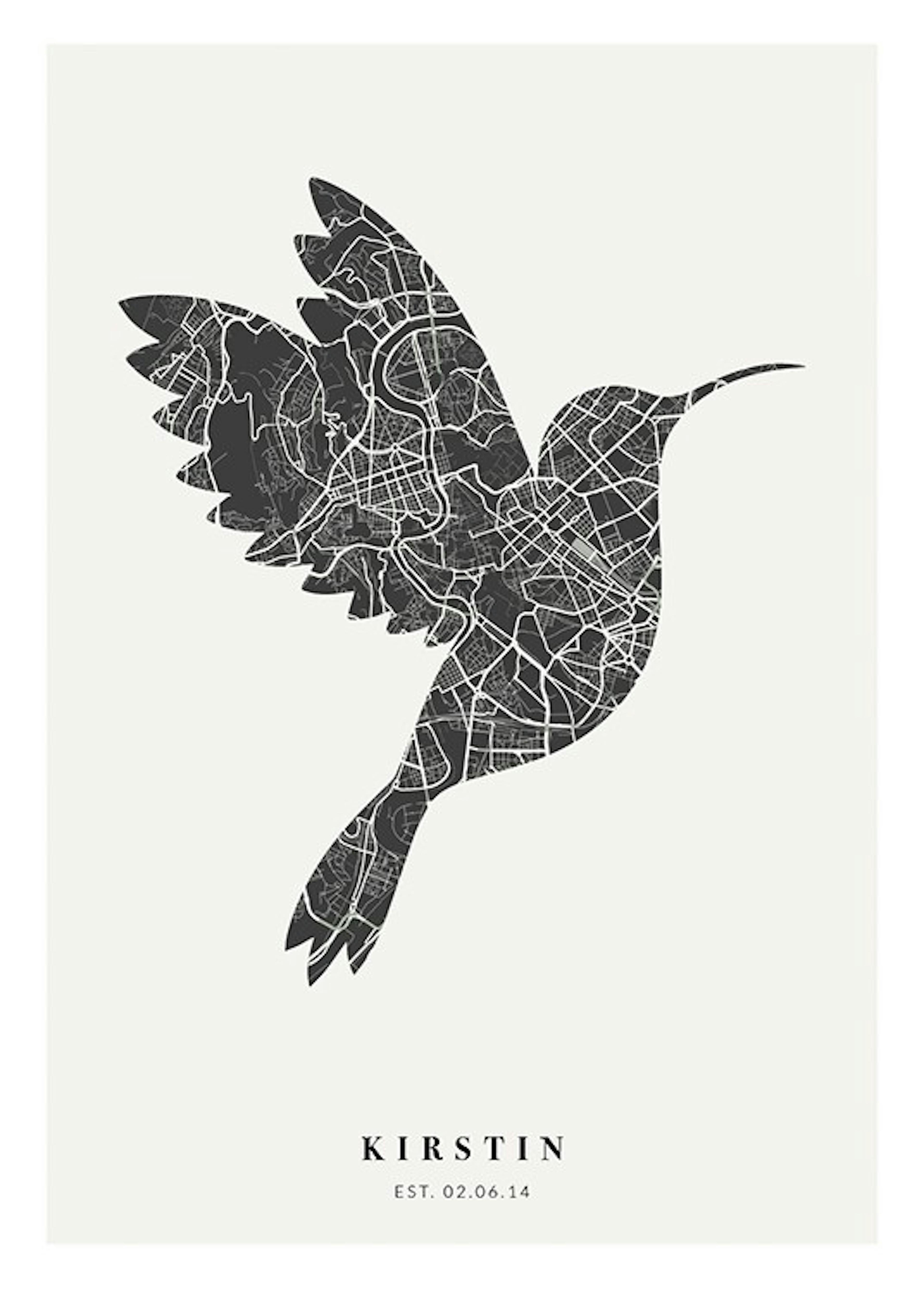 Bird Map Night Personal Plakát 0