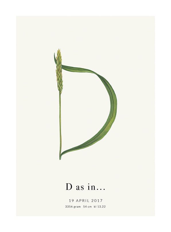 Botanic Letter D Personal Plakat (30x40 cm)- Plakaty personalizowane