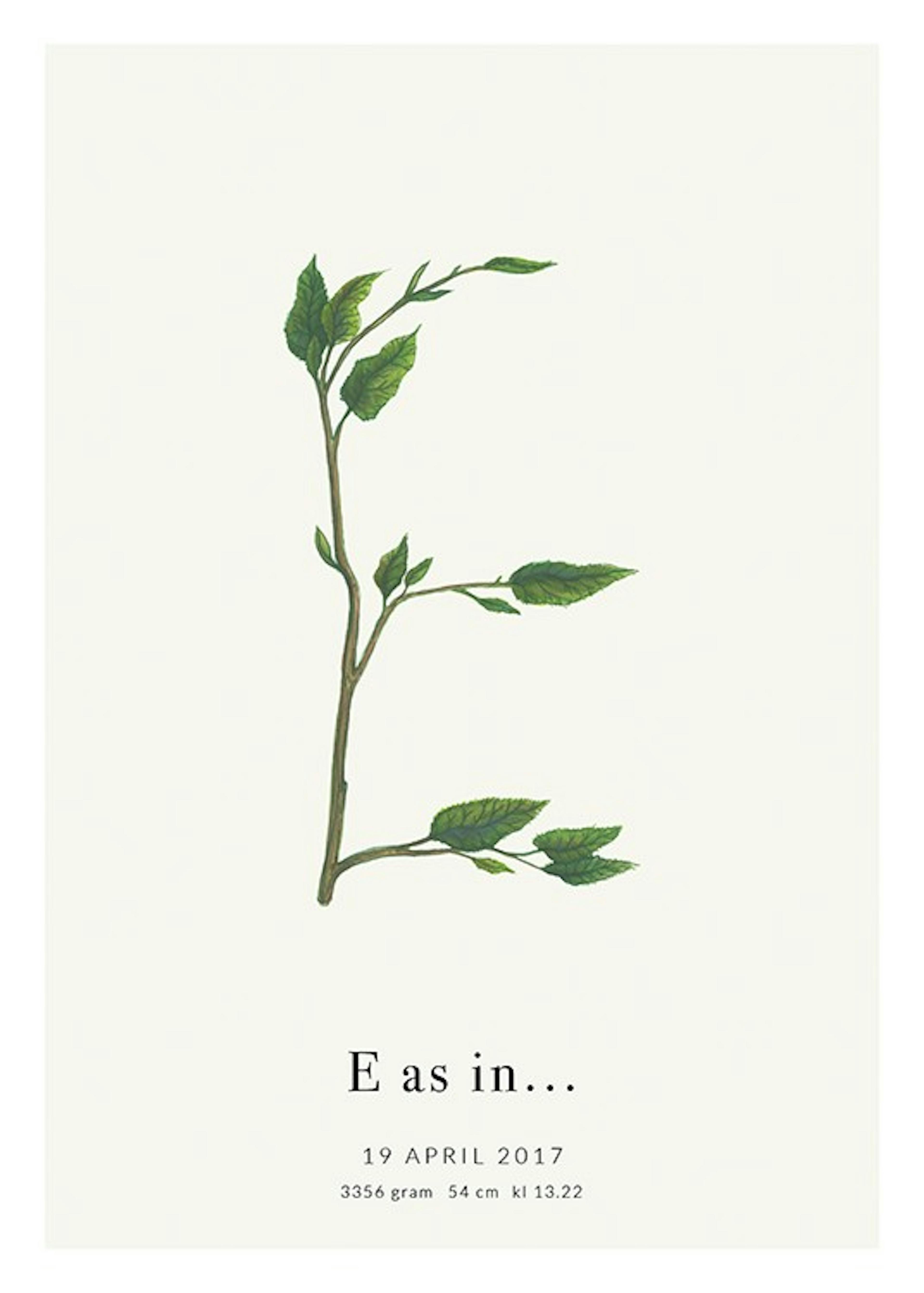 Botanic Letter E Personal Plakat