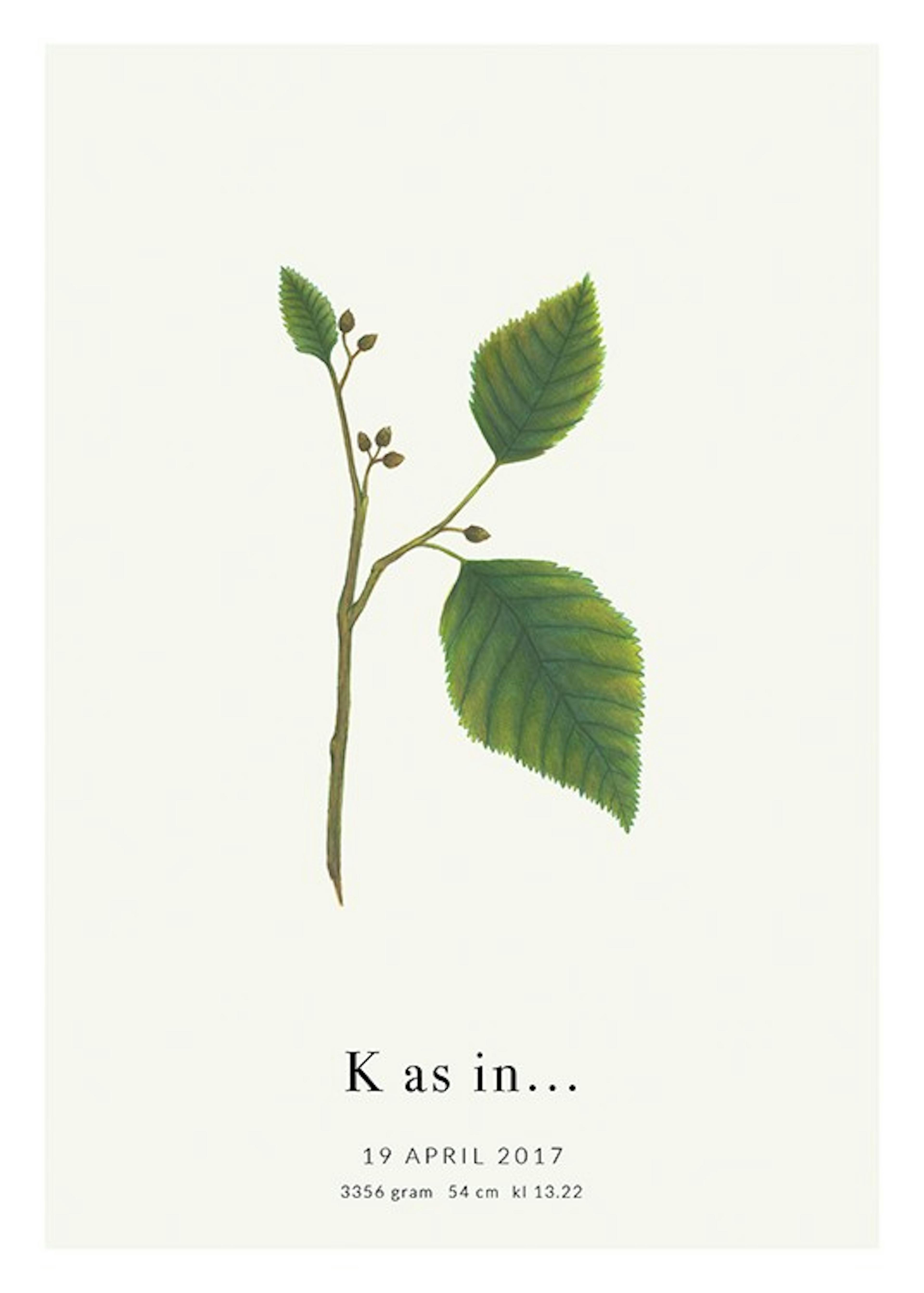 Botanic Letter K Personal Affiche