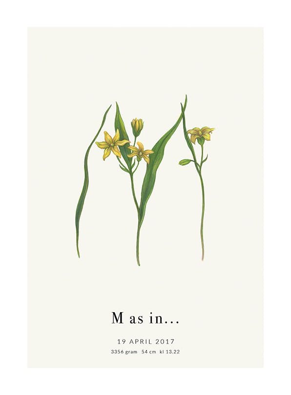 Botanic Letter M Personal Plakat (50x70 cm) - Plakater > Personlige posters
